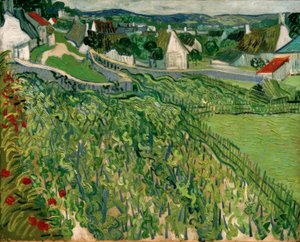 Vignobles avec vue sur Auvers
